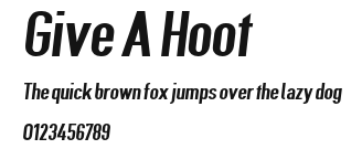 Give A Hoot Preview