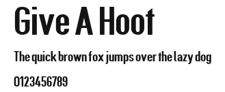 Give A Hoot Preview