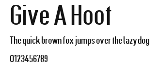 Give A Hoot Preview