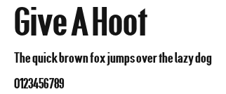 Give A Hoot Preview