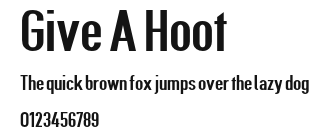 Give A Hoot Preview
