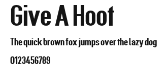 Give A Hoot Preview