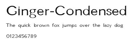 Ginger-Condensed Preview