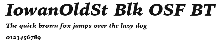 IowanOldSt Blk OSF BT Preview