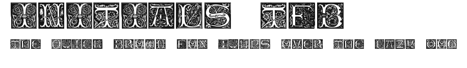 Initials TFB Preview