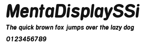 MentaDisplaySSi Preview