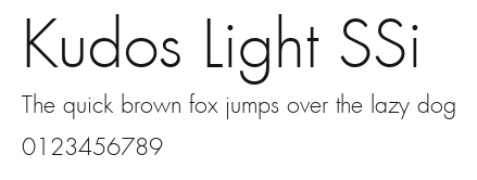 Kudos Light SSi Preview