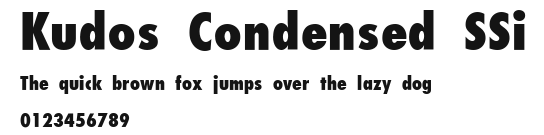 Kudos Condensed SSi Preview