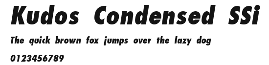 Kudos Condensed SSi Preview