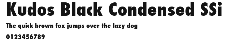Kudos Black Condensed SSi Preview