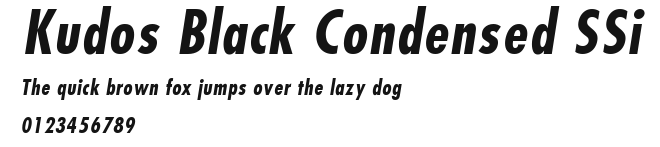 Kudos Black Condensed SSi Preview