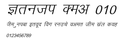 Kruti Dev 010 Preview