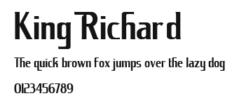 King Richard Preview