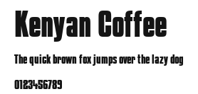 Kenyan Coffee Preview