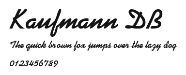 Kaufmann DB Preview