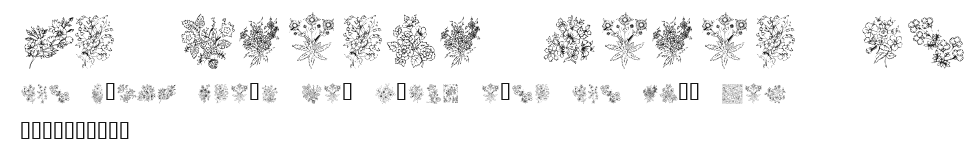 KR Floral Color Me Preview