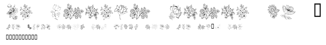 KR Floral Color Me 2 Preview