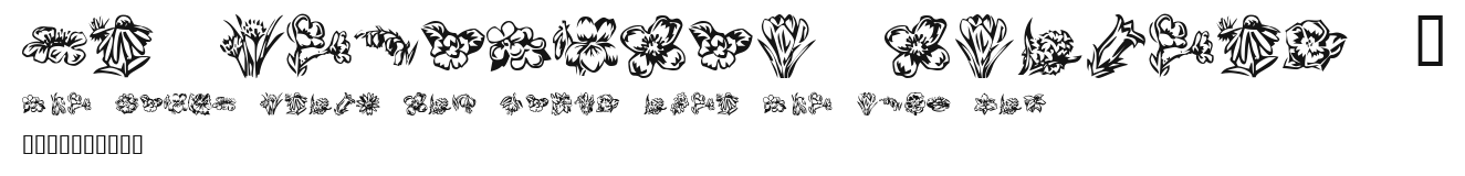 KR Beautiful Flowers 2 Preview