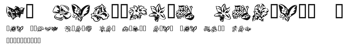 KR Beautiful Flowers 3 Preview