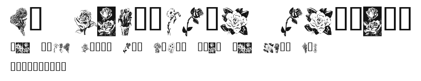 KR Beautiful Flowers Preview