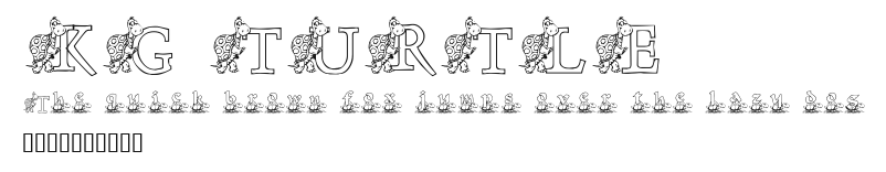 KG TURTLE Preview