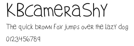 KBCameraShy Preview