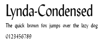 Lynda-Condensed Preview