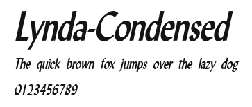Lynda-Condensed Preview