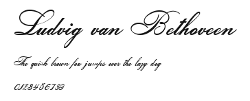 Ludvig van Bethoveen Preview