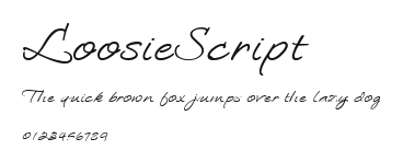 LoosieScript Preview