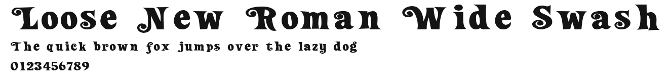 Loose New Roman Wide Swash Preview