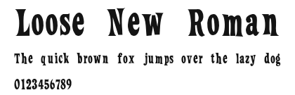 Loose New Roman Preview
