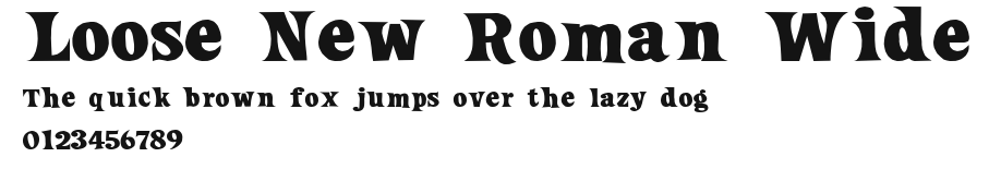 Loose New Roman Wide Preview