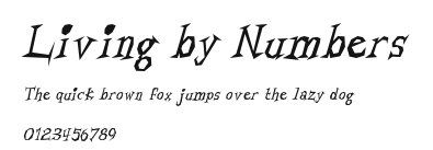 Living by Numbers Preview