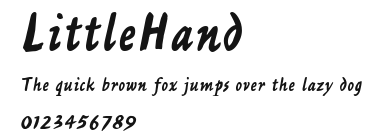 LittleHand Preview