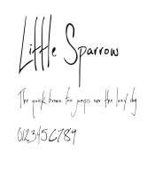 Little Sparrow Preview