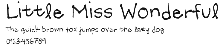 Little Miss Wonderful Preview
