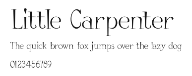 Little Carpenter Preview