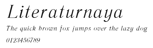 Literaturnaya Preview