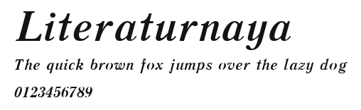 Literaturnaya Preview