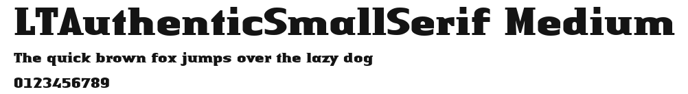 LTAuthenticSmallSerif Medium Preview