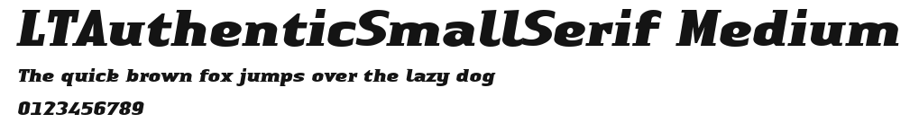 LTAuthenticSmallSerif Medium Preview