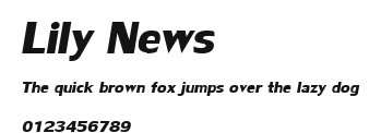 Lily News Preview