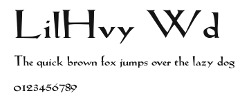 LilHvy Wd Preview