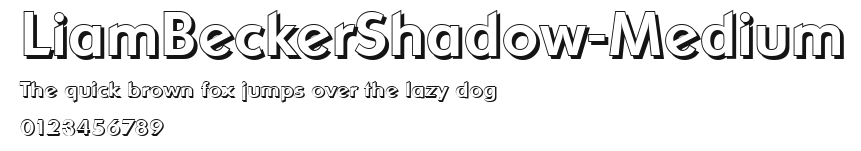 LiamBeckerShadow-Medium Preview