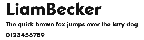 LiamBecker Preview