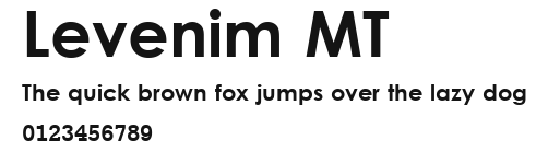 Levenim MT Preview