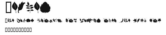 Leaves Preview