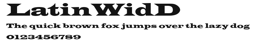 LatinWidD Preview
