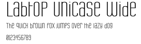 Labtop Unicase Wide Preview